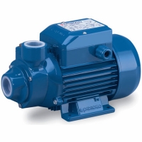 Вихревой насос PKm100